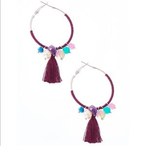 Tasseled Purple Hoops